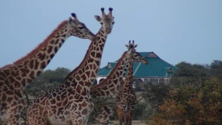 Narasha Homestay - Maasai Mara Talek Zewnętrze zdjęcie