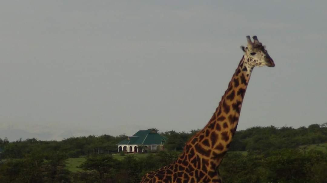 Narasha Homestay - Maasai Mara Talek Zewnętrze zdjęcie