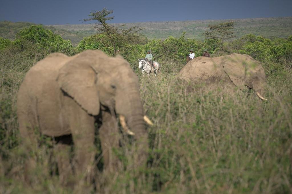Narasha Homestay - Maasai Mara Talek Zewnętrze zdjęcie