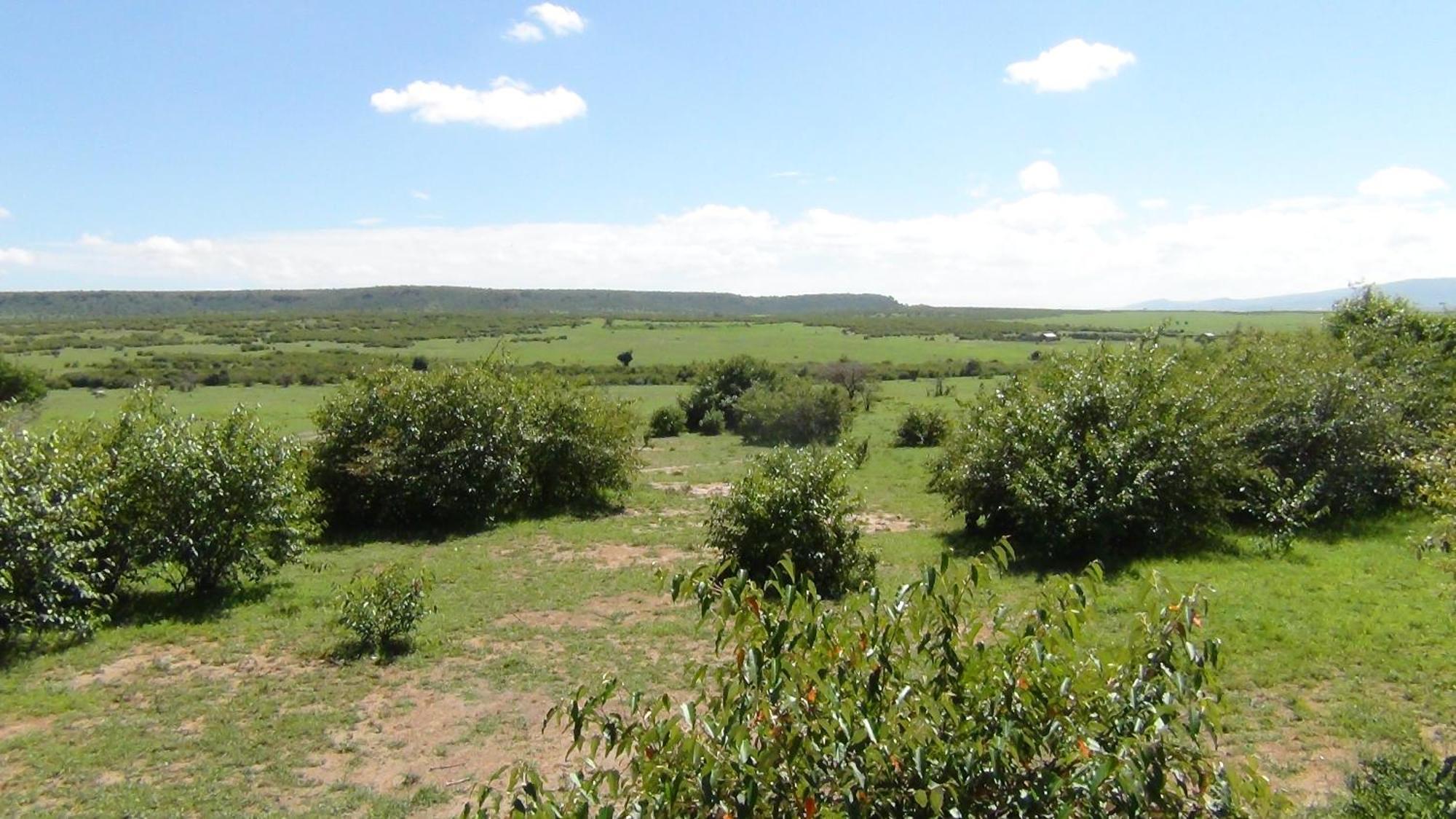 Narasha Homestay - Maasai Mara Talek Pokój zdjęcie