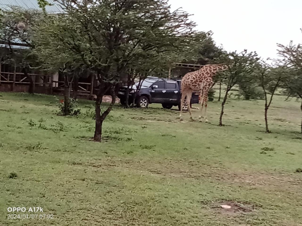 Narasha Homestay - Maasai Mara Talek Pokój zdjęcie