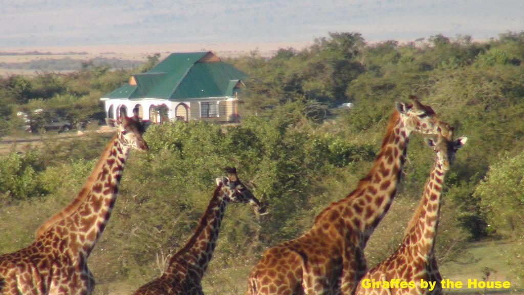 Narasha Homestay - Maasai Mara Talek Zewnętrze zdjęcie