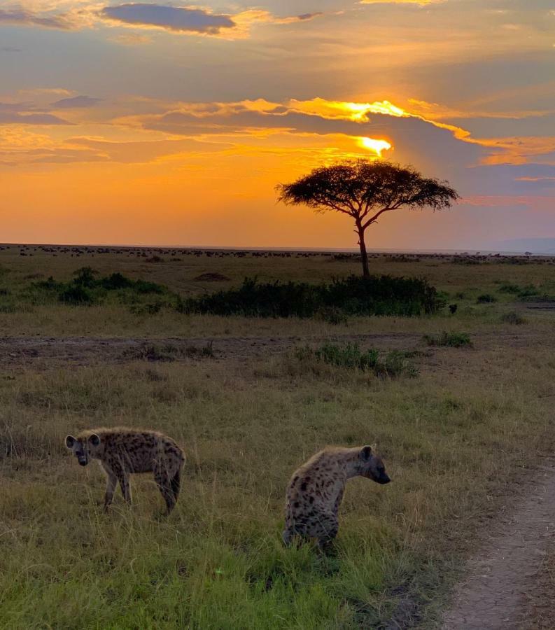 Narasha Homestay - Maasai Mara Talek Zewnętrze zdjęcie